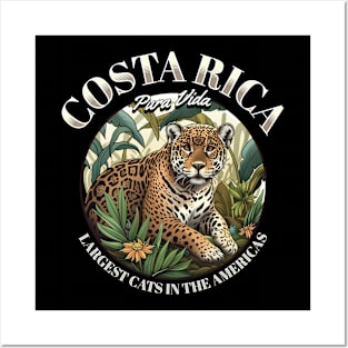 Apex Predator: Majestic Jaguar of Costa Rica Black Posters and Art